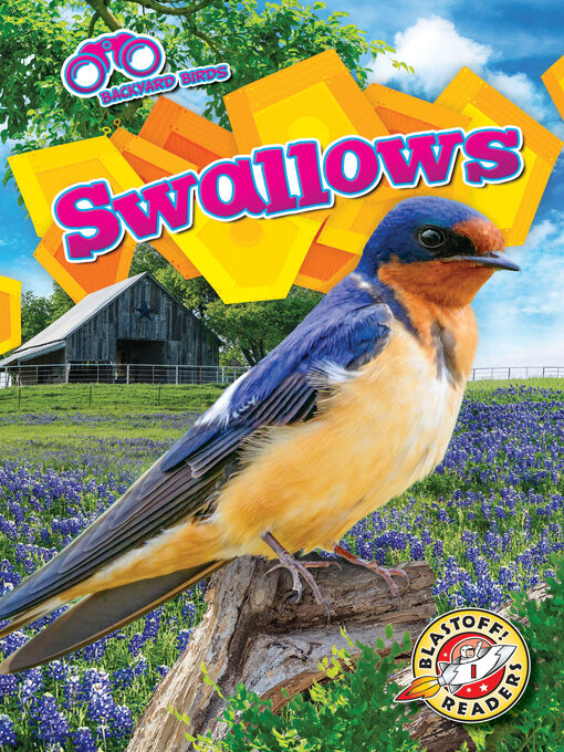 Cover image for Swallows